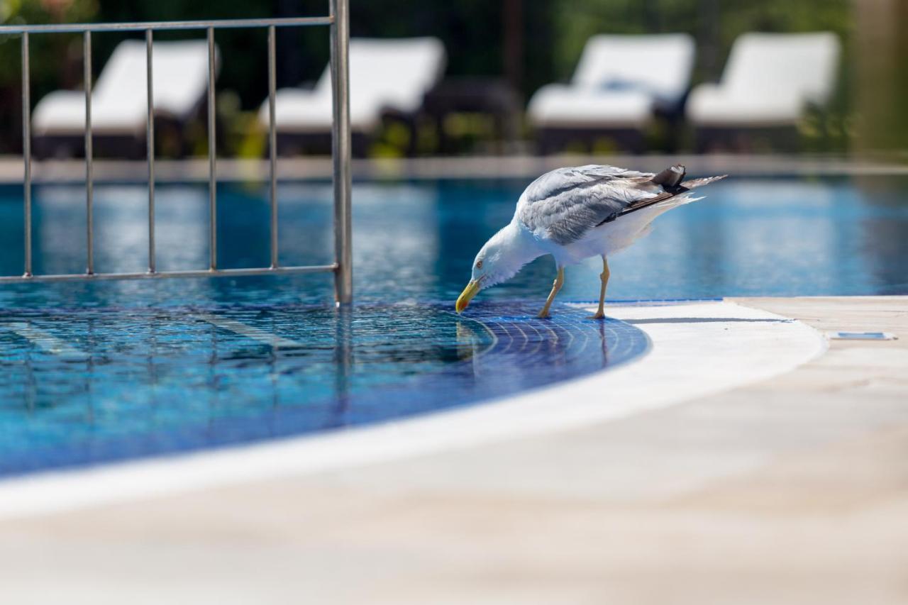 Villa Florence Boutique Apart Hotel Sveti Vlas Esterno foto